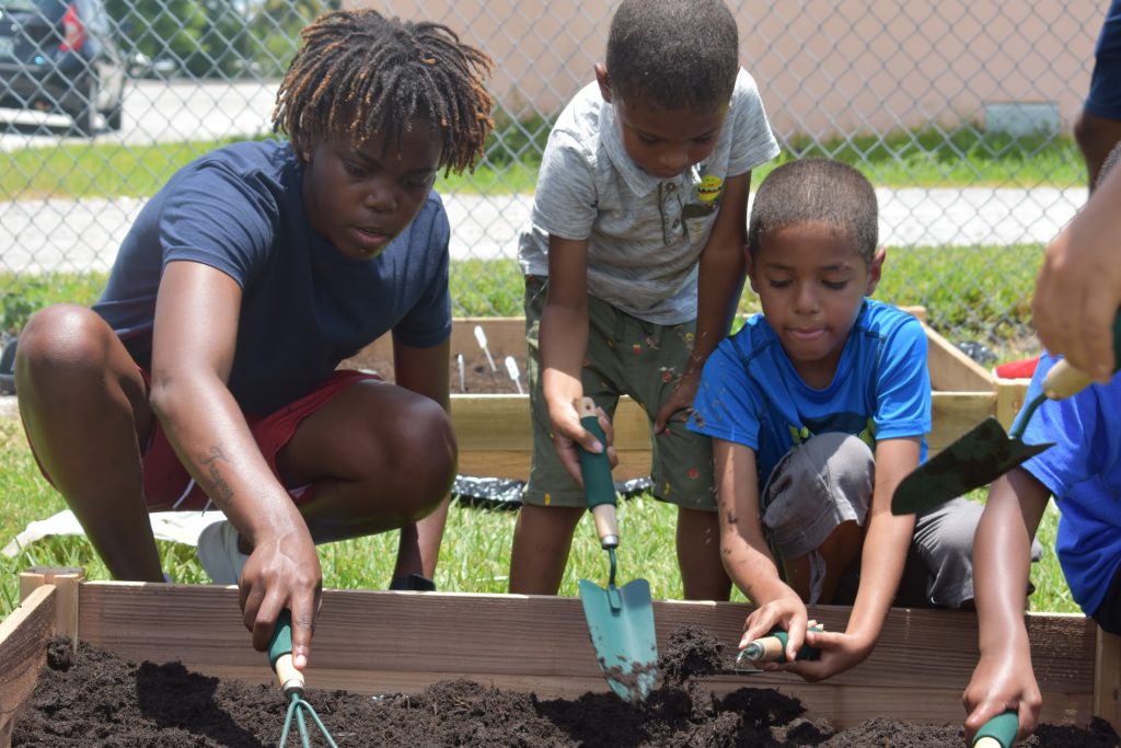 Mentor and mentee gardening