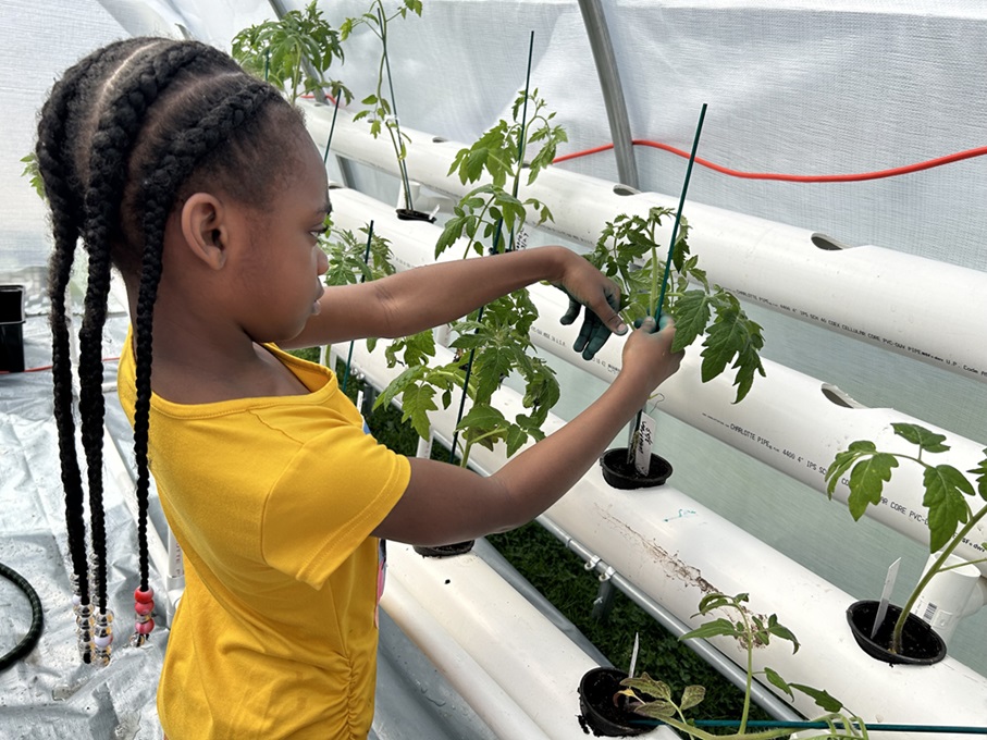 BGCH young black girl cares for hydroponic garden