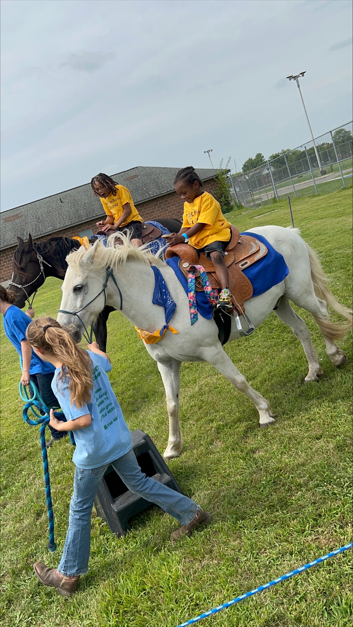 horses at FR1ENDS of the CH1LDREN Detroit picnic