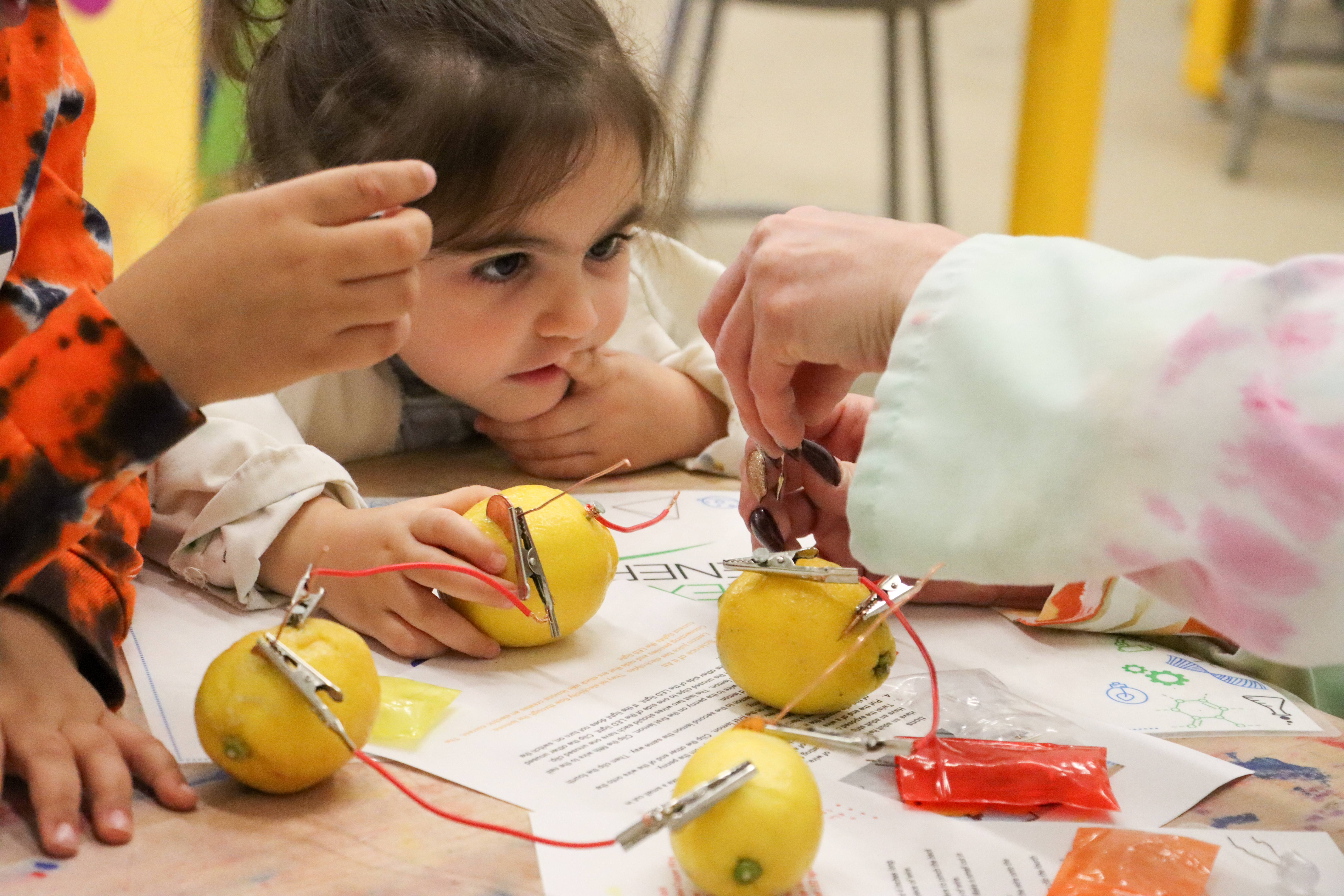 girl, rapt, building lemon circuits, SPARK